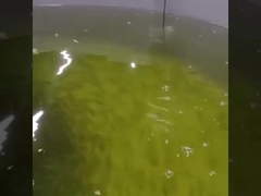 เซ็นเซอร์วัดค่าออกซิเจนละลายน้ำแบบออปติคัลแบบออนไลน์ Rs485 เซ็นเซอร์ตรวจจับออกซิเจนแบบออปติคัล